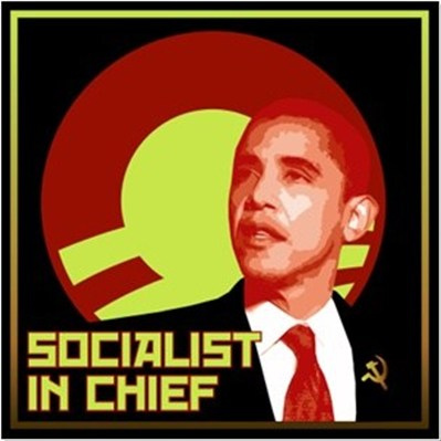 Obama Socialist in Chief