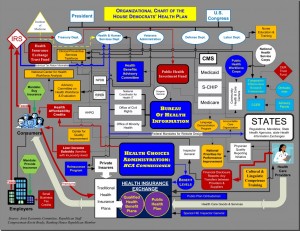 Obama Care Organizational Chart
