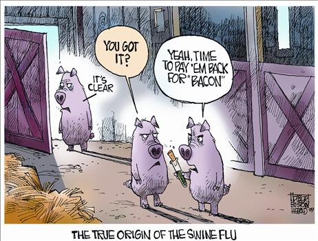 Swine Flu