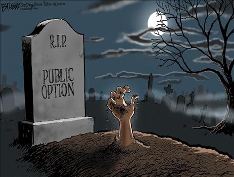 Public Option