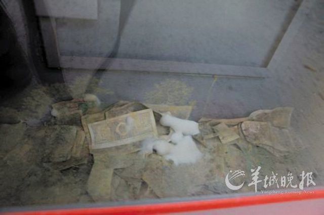 China Sichuan Earthquake Donations