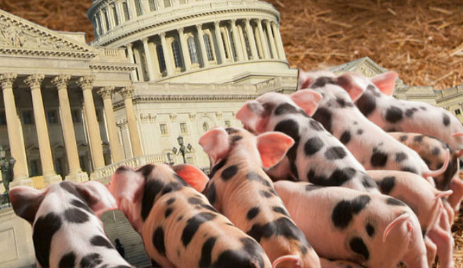 Pork Spending In Hurricane Sandy Relief Bill