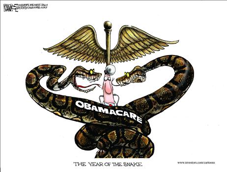 Year of the Snake ObamaCare