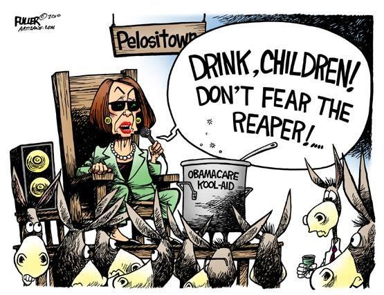 Pelosi Punch