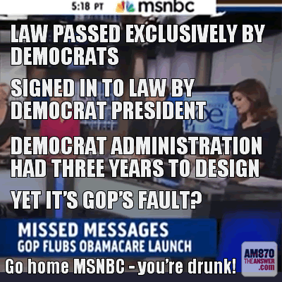 MSNBC Loony Liberal Lefties...