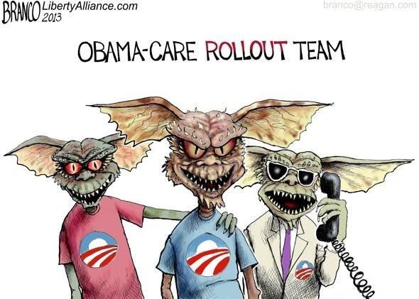 ObamaCare Rollout Team