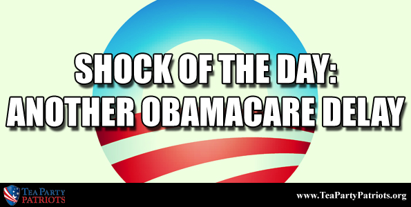 Another ObamaCare Delay