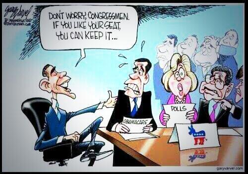 Democrats 2014 ObamaCare