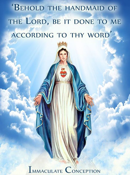 » Today Christians Celebrate Feast of the Solemnity of the Immaculate ...