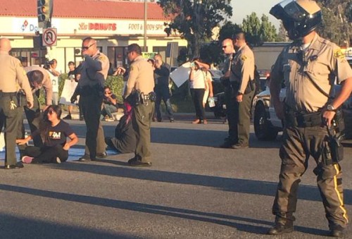 LA Protesters