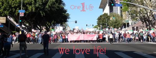 One Life Los Angeles...