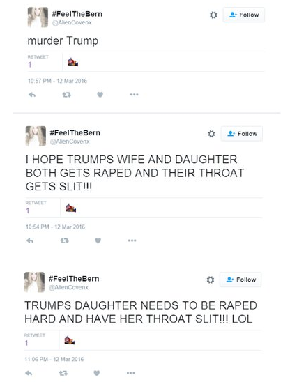 Bernie Sanders Supporter Tweets